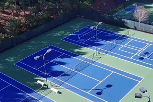 18432 E Marbella Ln, Fort Mill, SC 29707 - Photo 47