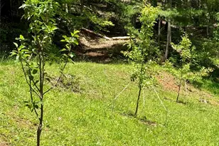 2050 Blowing Rock Blvd, Lenoir, NC 28645 - Photo 39