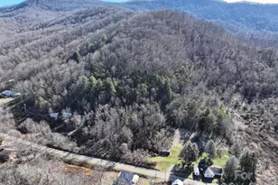 1906 & Tract 1 Ratcliff Cove Rd, Waynesville, NC 28786 - Photo 29