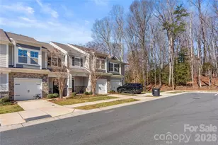 1091 Chicory Trce, Clover, SC 29710 - Photo 3