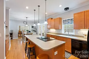 1606 High Ridge Dr, Stanley, NC 28164 - Photo 9