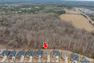 1113 Mayapple Wy, Belmont, NC 28012 - Photo 43