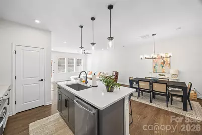 285 Brooks Springs Drive, Fort Mill, SC 29708 - Photo 9