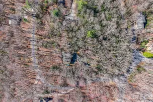 177 Tsisqua Cir, Brevard, NC 28712 - Photo 3