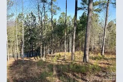 338 Grandview Peaks Drive #36, Nebo, NC 28761 - Photo 5