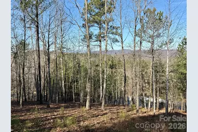 338 Grandview Peaks Drive #36, Nebo, NC 28761 - Photo 7