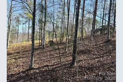 338 Grandview Peaks Drive #36, Nebo, NC 28761 - Photo 3