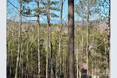 338 Grandview Peaks Drive #36, Nebo, NC 28761 - Photo 11