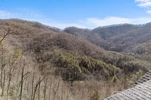 410 Moonlight Trl, Bryson City, NC 28713 - Photo 45
