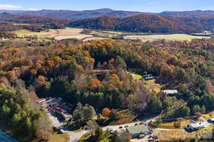 106 Avian Ct, Brevard, NC 28712 - Photo 39