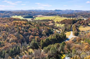 106 Avian Ct, Brevard, NC 28712 - Photo 43