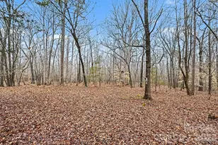 6619 Loblolly Cir, Waxhaw, NC 28173 - Photo 31