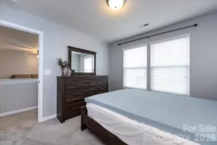 11033 Hat Creek Ln, Davidson, NC 28036 - Photo 35