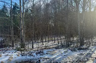 6399 Little Mountain Rd, Sherrills Ford, NC 28673 - Photo 1