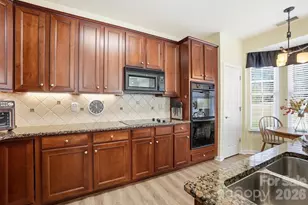 1667 Onyx Ridge, Fort Mill, SC 29708 - Photo 11