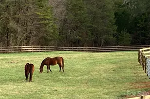 398 Dave Sims Rd, Rutherfordton, NC 28139 - Photo 45