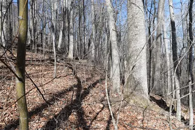 417& 418 Multiflora Way #417&418, Waynesville, NC 28785 - Photo 5