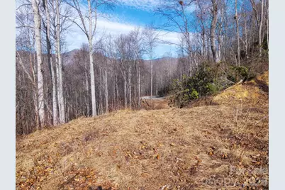 000 Bee Tree Road #103B, Swannanoa, NC 28778 - Photo 1