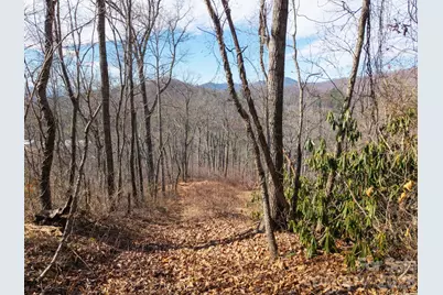 000 Bee Tree Road #103B, Swannanoa, NC 28778 - Photo 17