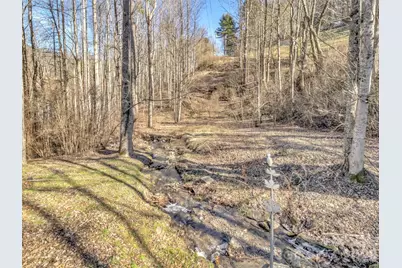 229 Medford Hannah Road, Waynesville, NC 28785 - Photo 23