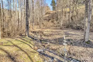 229 Medford Hannah Rd, Waynesville, NC 28785 - Photo 23