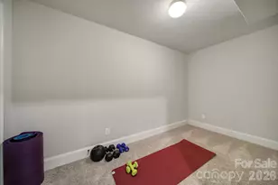 8000 Skye Lochs Dr, Waxhaw, NC 28173 - Photo 39