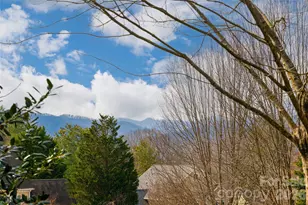 9 Rosebay Ln, Asheville, NC 28803 - Photo 41