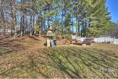 111 Red Tip Lane, Mooresville, NC 28117 - Photo 45