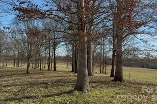 144 & 179 J and W Dr, Olin, NC 28660 - Photo 33