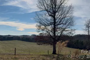 144 & 179 J and W Dr, Olin, NC 28660 - Photo 33