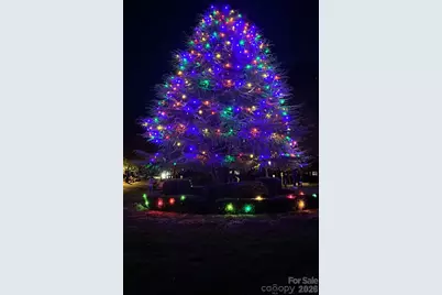 10302 Old Carolina Drive, Charlotte, NC 28214 - Photo 37