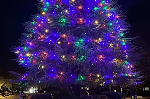 10302 Old Carolina Dr, Charlotte, NC 28214 - Photo 37