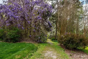 13417 Scanlan Way, Davidson, NC 28036 - Photo 43