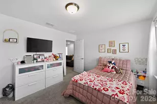 506 Donnegal Farm Dr, Fuquay-Varina, NC 27526 - Photo 21