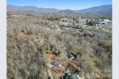 76 Maple Springs Road, Asheville, NC 28805 - Photo 29