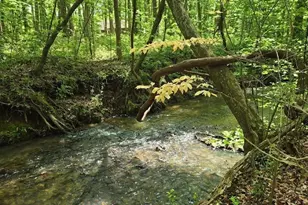 3408 Araglin Dr, Gastonia, NC 28056 - Photo 21