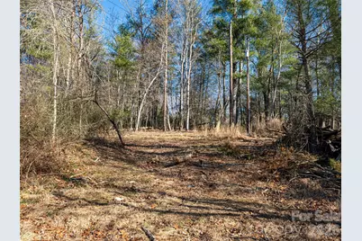 44 Presbyterian Church Road, Mills River, NC 28759 - Photo 41