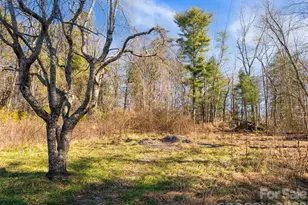 44 Presbyterian Church Rd, Mills River, NC 28759 - Photo 33