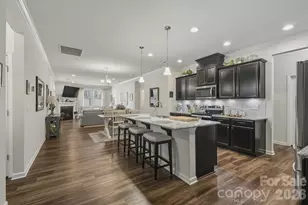 10038 Sweetbriar Rose Ct, Huntersville, NC 28078 - Photo 3