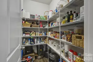 10038 Sweetbriar Rose Ct, Huntersville, NC 28078 - Photo 23