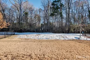 10038 Sweetbriar Rose Ct, Huntersville, NC 28078 - Photo 31