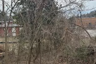 33 Johnson Dr, Asheville, NC 28804 - Photo 1