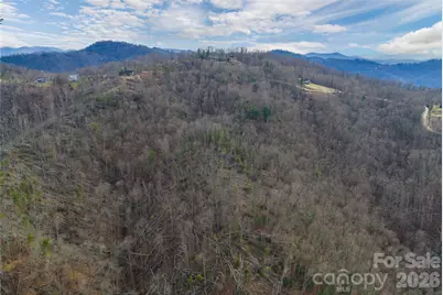 99999 Elk Mountain Scenic Highway #2, Asheville, NC 28804 - Photo 17