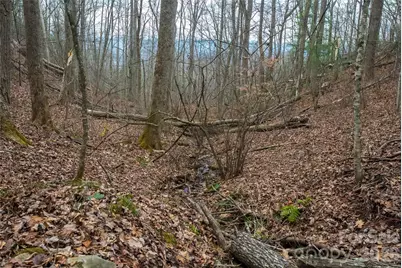 99999 Elk Mountain Scenic Highway #2, Asheville, NC 28804 - Photo 15
