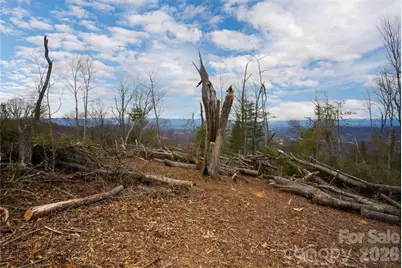 99999 Elk Mountain Scenic Highway #2, Asheville, NC 28804 - Photo 7