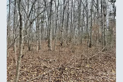 0 Hudlow Road, Rutherfordton, NC 28139 - Photo 5