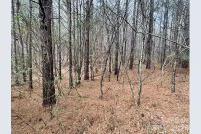 0 Hudlow Road, Rutherfordton, NC 28139 - Photo 7