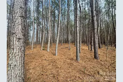 0 Hudlow Road, Rutherfordton, NC 28139 - Photo 1