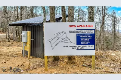 Tbd Phillips Gap Road, Purlear, NC 28665 - Photo 5