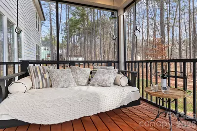 3227 Cape Fox Court, Denver, NC 28037 - Photo 17